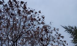 Niğde’de önümüzdeki günlerde hava nasıl olacak?