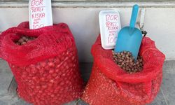 Niğde’de tohumluk kuru soğan satışları başladı