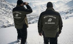 Niğde'de kaçak ava rekor ceza!