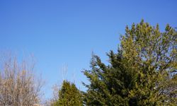 Niğde’de bahar havası etkili olacak