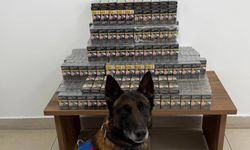 Niğde’de otobüste 800 paket kaçak sigara ele geçirildi