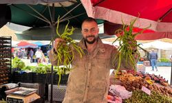 Niğde’de biber fiyatı düştü ama satışlar durgun