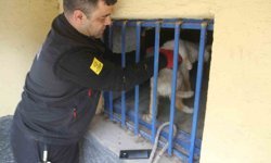 Açlıktan bitkin düşen kedi itfaiye ekiplerince kurtarıldı