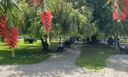 Termometreler 41 dereceyi gösterdi