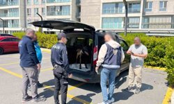 Avcılar'da köpeğe kötü muamelede bulunan şahıs yakalandı