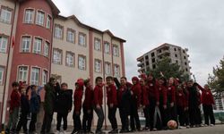 Baharın habercisi leylekler bu yıl gelmedi