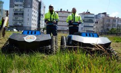 Çimleri artık robotlar biçiyor