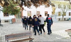 Çobanları hamama götürüp oyaladılar, 36 büyükbaş hayvanı çaldılar