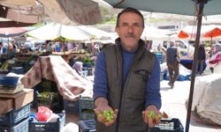 Niğde’de erik fiyatları düşüşte