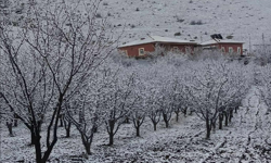 Niğde’de kar yağışı üreticiyi tedirgin etti
