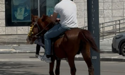 Niğde’de atıyla dolaşan genç görenleri şaşırttı