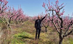 Meyve bahçelerinde entegre mücadele çalışması