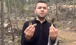 Kuzu göbeği bereketi