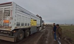 Yem ve gübre yüklü tır köy yolunda mahsur kaldı