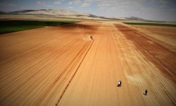 Yağışlar rekolte beklentisini arttırdı