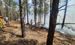 Mersin'de orman yangınlarına karşı tatbikat yapıldı