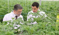 Tarım ve Orman Bakanı İbrahim Yumaklı Aksaray'da