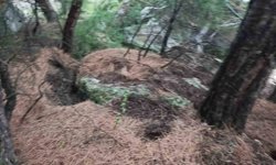 Heyelan ve kaya düşmesi nedeniyle 13 daire tahliye edildi