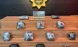 Valizden uyu*şturucu madde çıktı