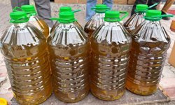 Donması korkutmasın: Zeytinyağında doğru bilinen yanlışlar