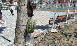 Çamardı'da küçük ellerden büyük farkındalık