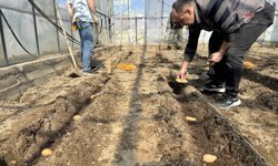 Niğde’de Patates Araştırma Enstitüsü yeni sezona hazır