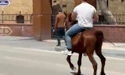 Niğde’de atıyla dolaşan genç görenleri şaşırttı