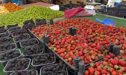 Niğde’de pazarlarda tezgahlar renklendi