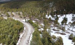 Kış ve bahar bir arada yaşanıyor