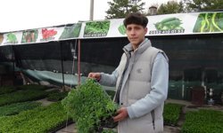 Niğde’de fide tezgahları kuruldu