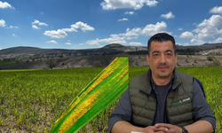 Niğde’de serin hava pas hastalığını tetikledi