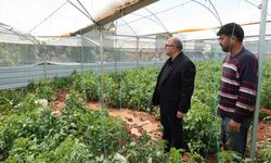 Dolu, sebze tarlaları ve meyve bahçelerine zarar verdi