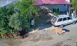 Kurbanlıklar kaçtı, bayram neşesi kameralara yansıdı