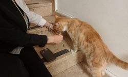 Niğde’de öğrenciden duyarlı hareket