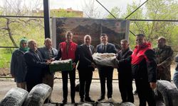 Çamardı'da üreticilere 90 bin çilek fidesi dağıtıldı