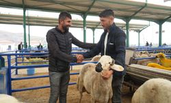 Niğde’de hayvan pazarında bayram bereketi yaşanıyor