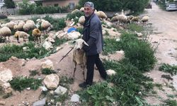 Niğde’de kurbanlık uyarısı: “Hayvanı görmeden almayın”