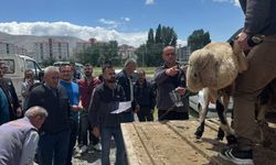 Niğde’de kalsit firmasından çalışanlarına kurbanlık hediyesi