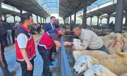 Niğde’de kurban pazarında sıkı denetim