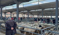 Niğde’de kurban pazarı hareketlendi: Besici de alıcı da pazarda