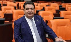Milletvekili ince’den kurban bayramı mesajı