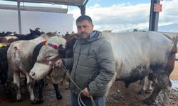 Niğde’de Kurban Bayramı’nın şampiyonu alıcı bulmadı
