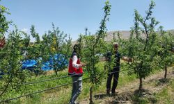 İl Tarım ve Orman Müdürlüğü dolu hasarını sahada inceliyor