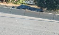 Minibüsün çarptığı yaya hayatını kaybetti