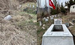 Şehit mezarları yenilenerek bakıma alındı