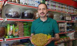 Bu bitkinin kokusu keneleri uzaklaştırabilir