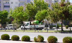 Niğde Belediyesi’nden Bor Yolu’nda ilaçlama çalışması