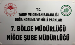 Niğde’de o türlere av yasağı getirildi!