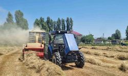 Çiftçilerin kışlık yem mesaisi sürüyor