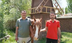 Niğde’de atlı sporun yükselen markası: Safir At Çiftliği
